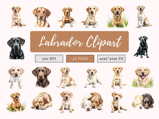 Labrador Clipart png Bundle, Labrador Clipart, Labrador Bundle png, Labrador Retriever png, Pet Dog Clipart, Dog Clipart Bundle png