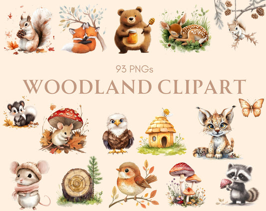 Watercolor Woodland Animal Clipart Bundle, Forest Nursery Decor (PNG Digital Download)