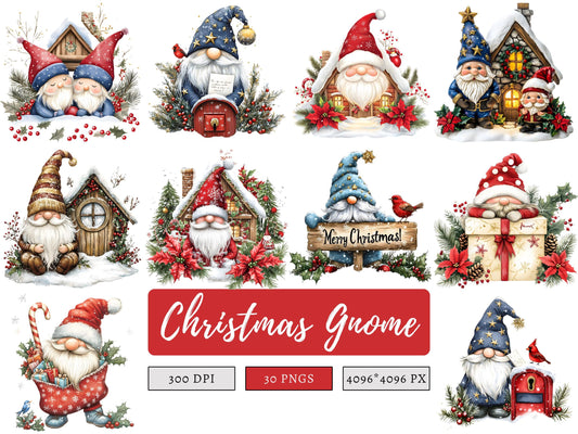 Christmas Gnome Clipart png Bundle, Winter Gnome Clipart. Gnme png, Christmas Gnome Clipart, Christmas png Sublimation, Digital Download