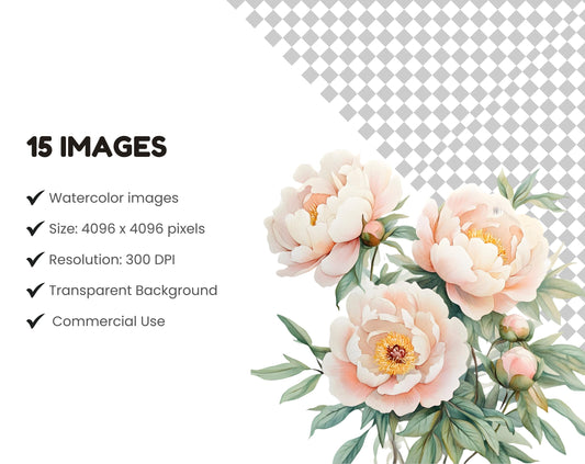 Watercolor Blush Peony Clipart Bundle, Floral PNG (Digital Download)