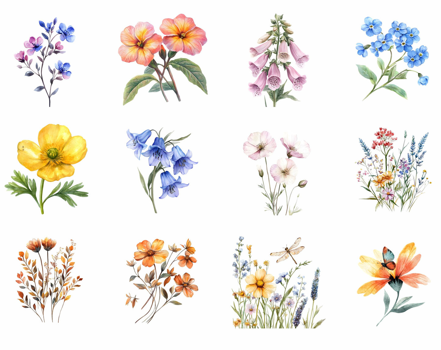 Ensemble d'images clipart de fleurs sauvages à l'aquarelle, PNG floral (téléchargement numérique)
