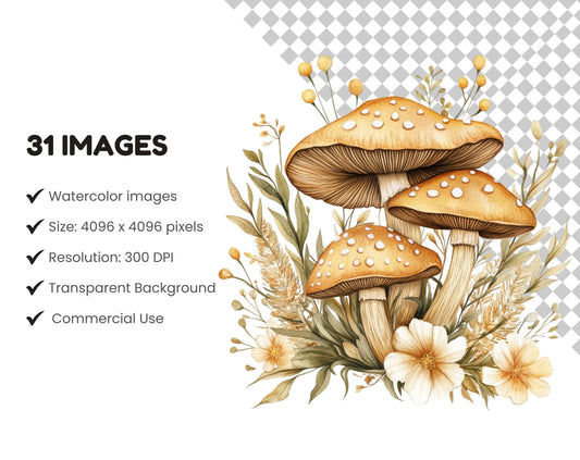 Mushroom Clipart Bundle png, Watercolor Mushroom Clipart, Floral Mushroom Clipart png, Magic Mushroom Clipart, Wild Mushroom Clipart png