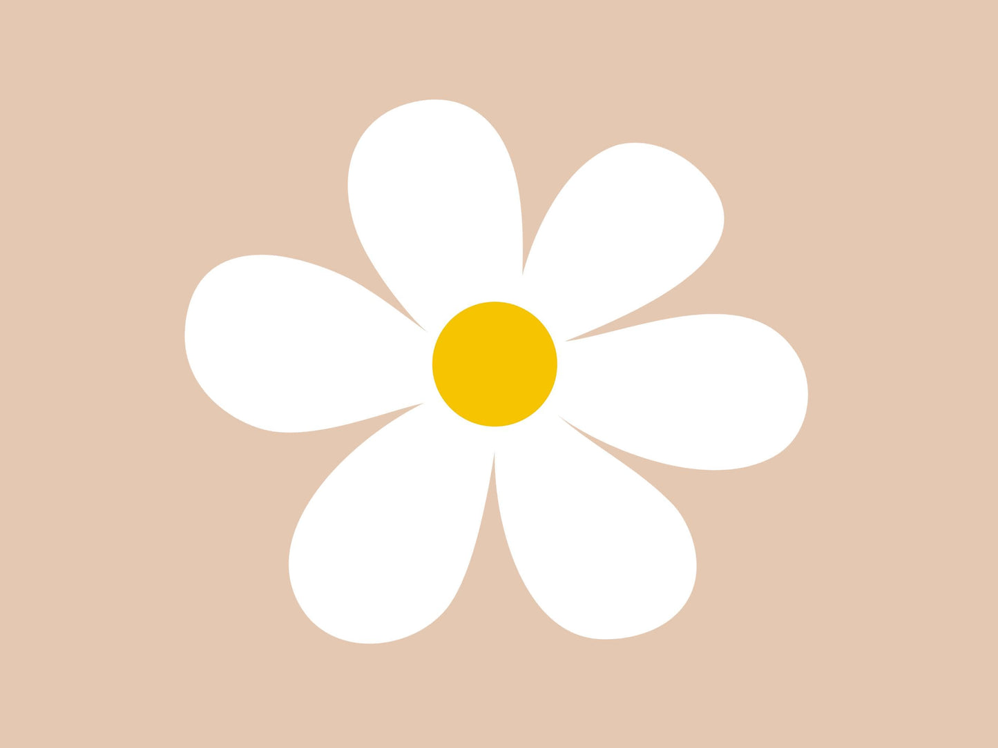 Images de marguerites, lot de fleurs de marguerite aquarelle au format PNG, clipart floral, images de marguerites en fleurs, usage commercial, téléchargement instantané