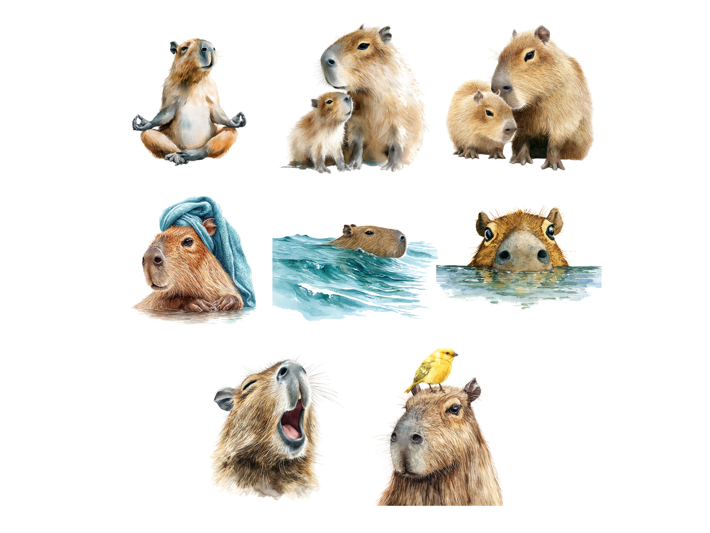DIY Download Capybara Clipart PNG Bundle
