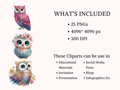 DIY Download Owl Clipart PNG Bundle