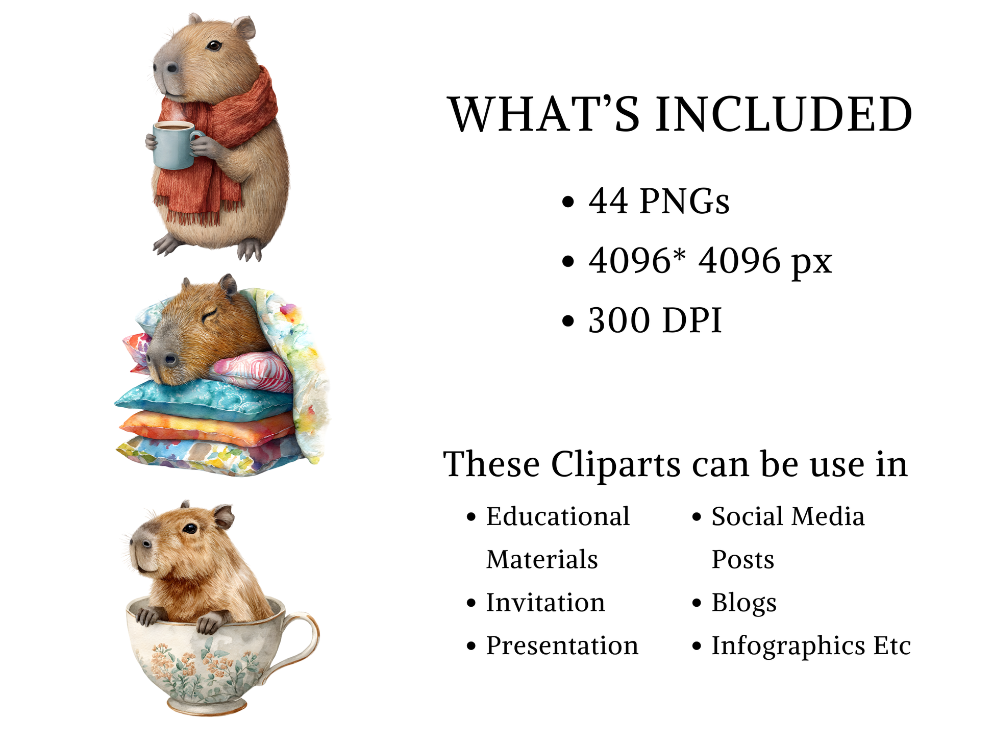 DIY Download Capybara Clipart PNG Bundle