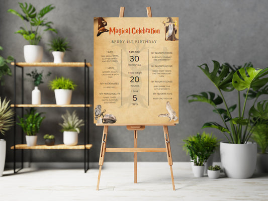Wizard 1st Birthday Milestone Board, Editable Template (Digital Download)