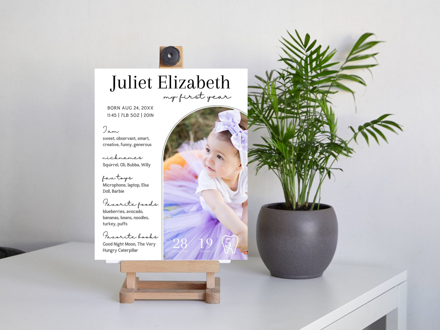 Baby's First Year Milestone Board Template, Editable Photo Sign (Digital Download)