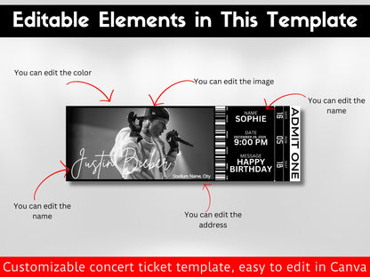 Custom Concert Ticket Template: DIY Event Ticket (Digital Download)