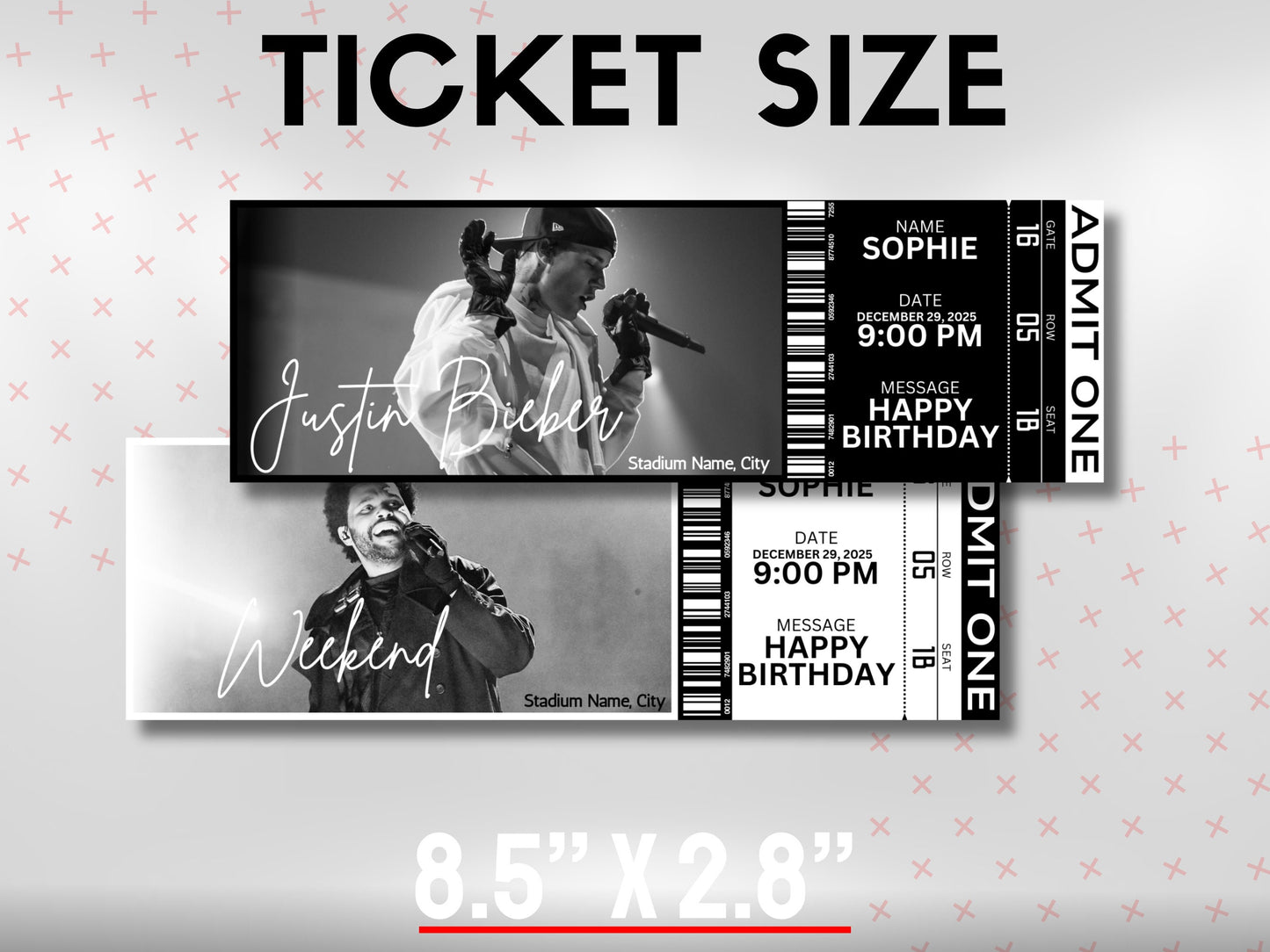 Custom Concert Ticket Template: DIY Event Ticket (Digital Download)
