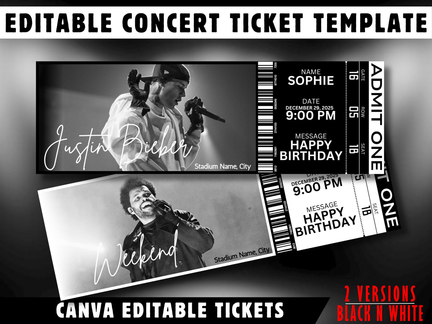 Custom Concert Ticket Template: DIY Event Ticket (Digital Download)