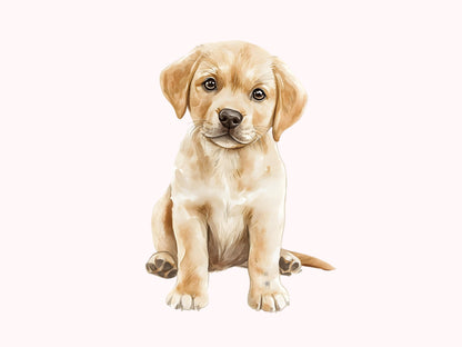 Labrador-Clipart-Bundle (PNG), Labrador-Clipart, Labrador-Bundle (PNG), Labrador Retriever (PNG), Haustier-Hunde-Clipart, Hunde-Clipart-Bundle (PNG)