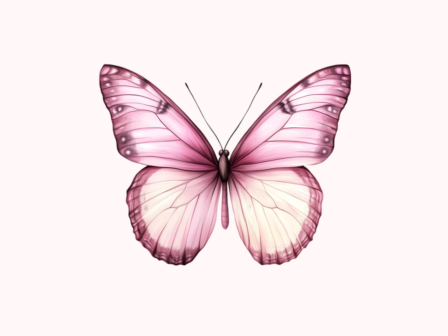 Pink Butterfly Clipart Bundle png, Butterfly Clipart, Watercolor Pink Butterfly Clipart, Wall Art, Butterflies Clipart, Digital Download