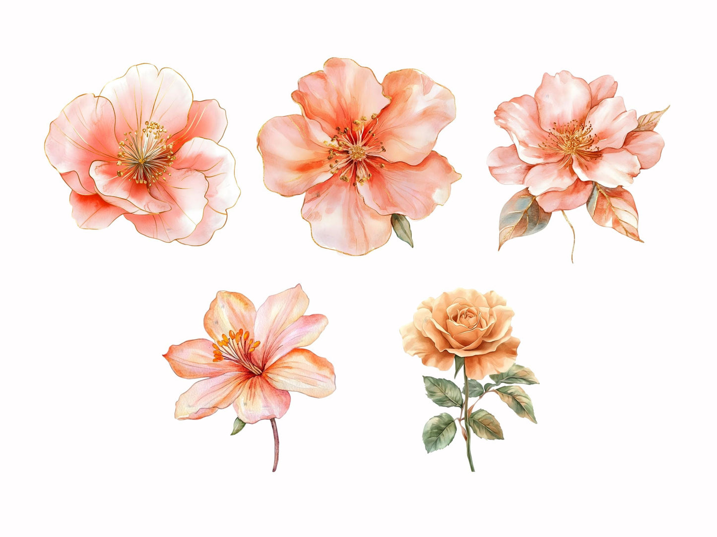 Ensemble d'images clipart de fleurs de mariage, Ensemble d'images clipart de fleurs abstraites, Fleurs à imprimer, Images clipart de fleurs png, Images clipart florales aquarelle