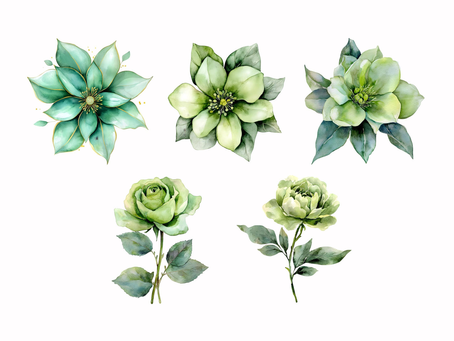 Ensemble d'images clipart de fleurs de mariage, Ensemble d'images clipart de fleurs abstraites, Fleurs à imprimer, Images clipart de fleurs png, Images clipart florales aquarelle