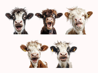 15 Funny Cow Clipart Bundle png, Funny Cow Clipart, Cow Clipart, Cow Head Clipart, Cow png, Cute Cow Clipart, Crazy Cow Clipart Bundle