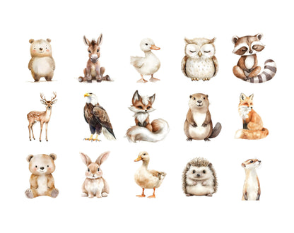Watercolor Woodland Animal Clipart Bundle, Baby Shower Decor (PNG)