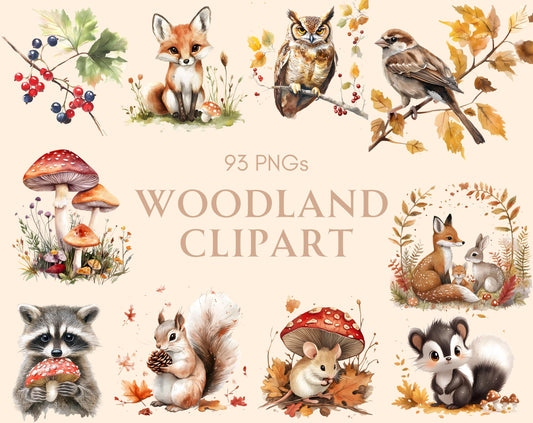 Watercolor Woodland Animal Clipart Bundle, Forest Nursery Decor (PNG Digital Download)