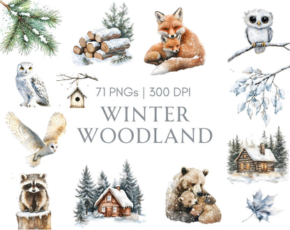 Winter Woodland Clipart Bundle, Watercolor Winter Woodland Clipart, Winter Animals Clipart, Cute Animal png, Forest Animal Clipart png