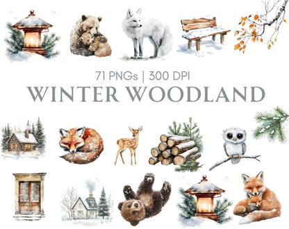 Winter Woodland Clipart Bundle, Watercolor Winter Woodland Clipart, Winter Animals Clipart, Cute Animal png, Forest Animal Clipart png