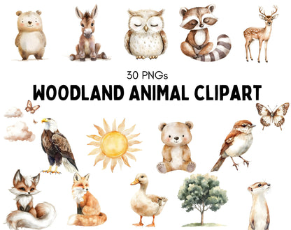 Watercolor Woodland Animal Clipart Bundle, Baby Shower Decor (PNG)