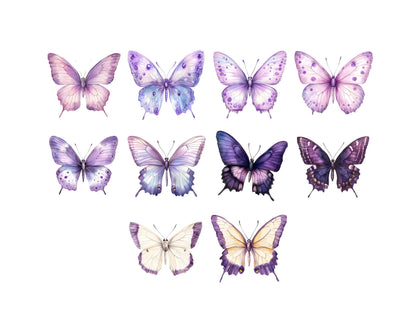 Purple Watercolor Butterfly Clipart Bundle (PNG)
