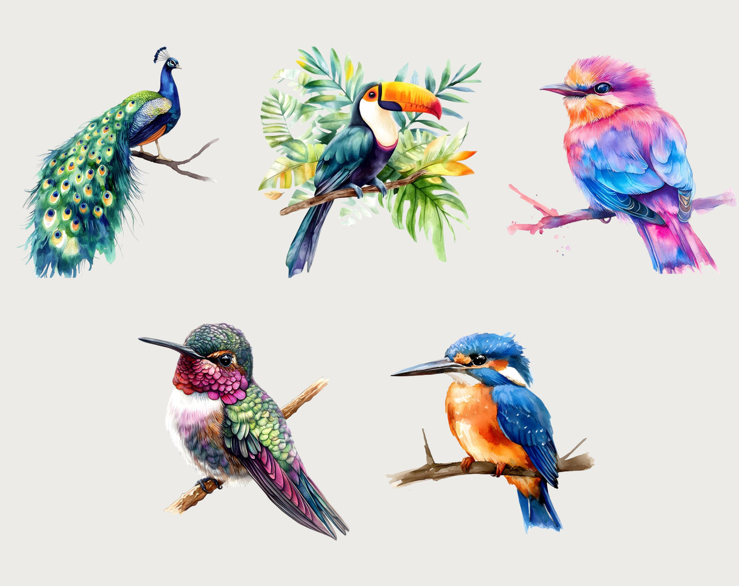 Watercolor Bird Clipart Bundle, Quirky Spring Birds (Digital Download)