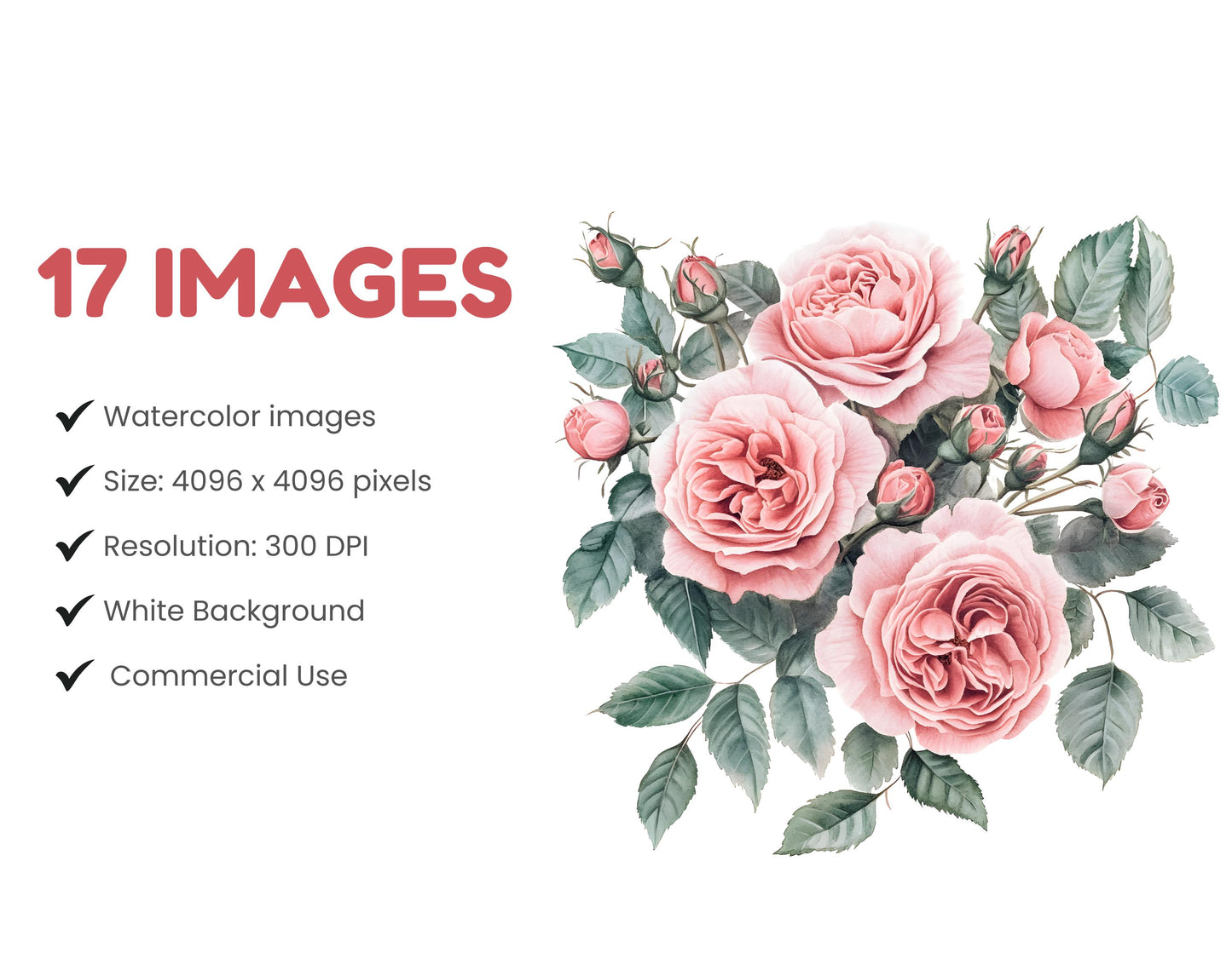 Rosa Rosen-Clipart-Bundle (PNG), Rosa Blumenstrauß-Clipart, Rosa Rosenstrauß-Clipart, Rosen-PNG-Bundle, Rosen-PNG, Papierbastelvorlage, Digitaler Download