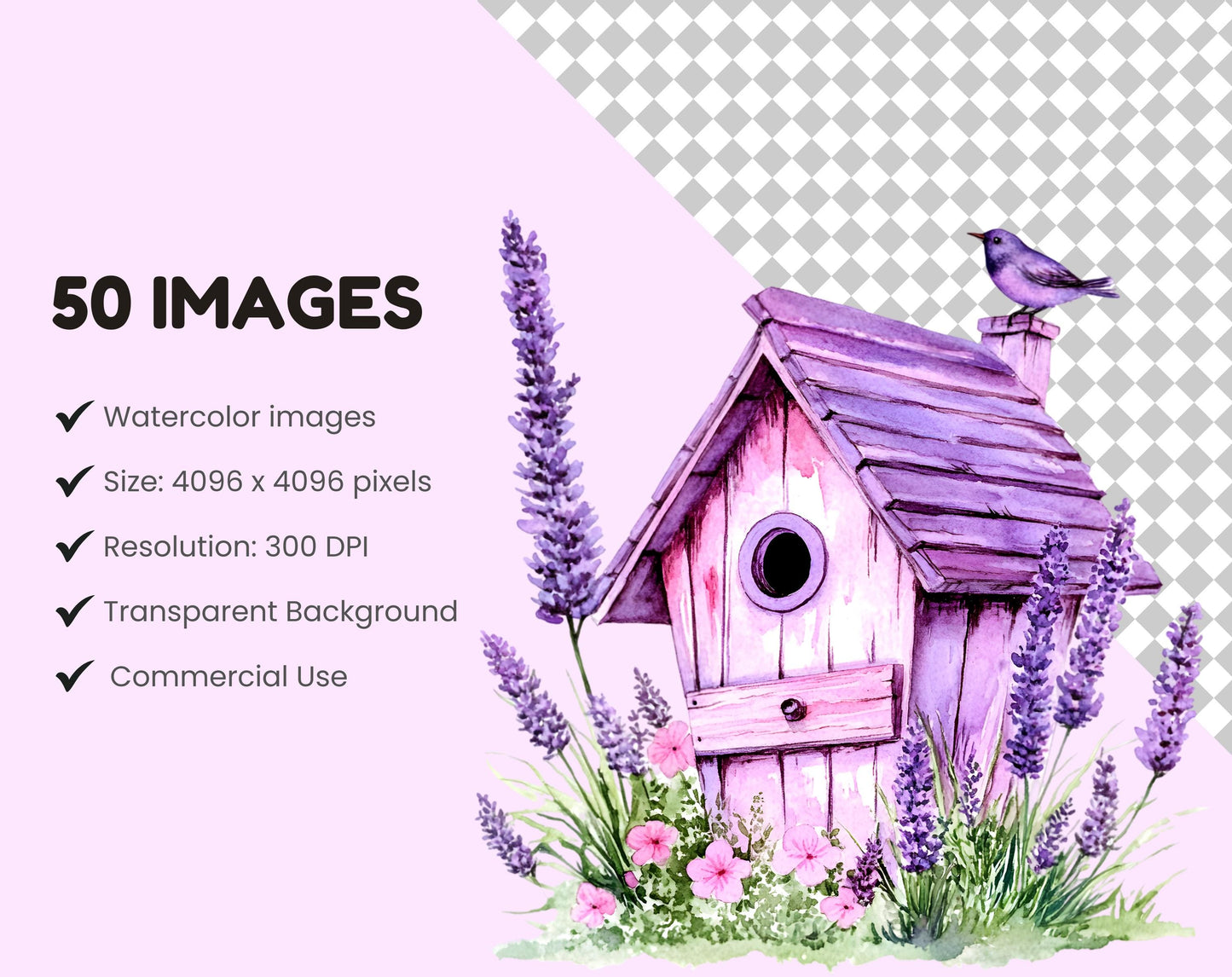 Aquarell-Frühlingsblumen-Clipart-Paket (Digitaler Download)