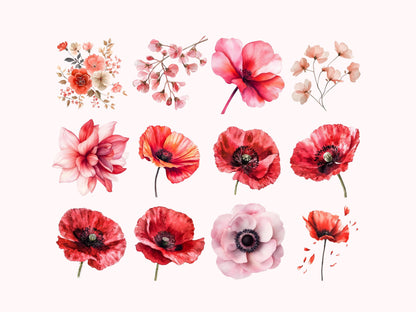 Clipart-Bundle mit rosafarbenen Blumen (PNG), Aquarell-Blumen-Clipart-Bundle, Blumen-Clipart, Blumen-PNG, Blumenstrauß, Hochzeitsblumen-Clipart (PNG)