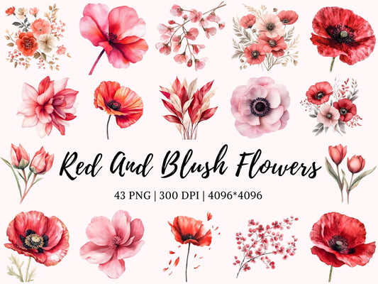 Blush Flower Clipart Bundle png, Watercolor Flower Clipart Bundle, Flower Clipart, Flower png, Floral Bouquet, Wedding Flower Clipart png