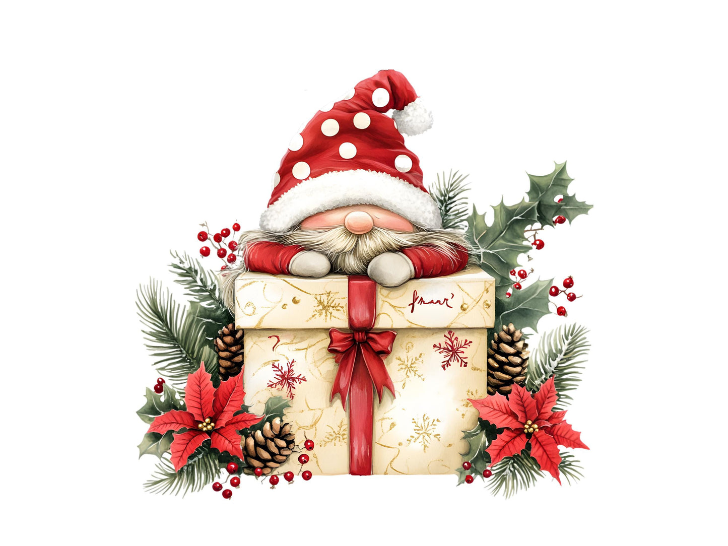Christmas Gnome Clipart png  Bundle, Winter Gnome Clipart. Gnme png, Christmas Gnome Clipart, Christmas png Sublimation, Digital Download
