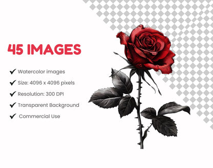 Red Roses Clipart Bundle, Watercolor Black Flower PNG (Digital Download)