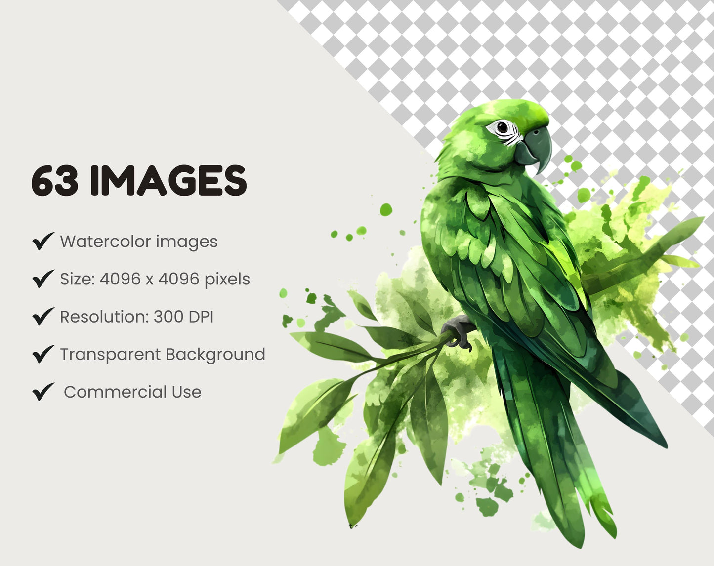 Watercolor Bird Clipart Bundle, Quirky Spring Birds (Digital Download)