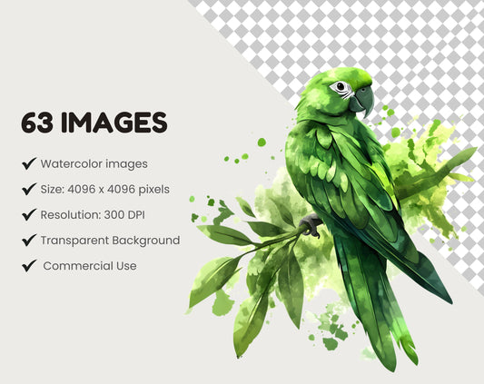 Watercolor Bird Clipart Bundle, Quirky Spring Birds (Digital Download)