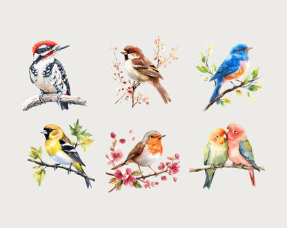 Watercolor Bird Clipart Bundle, Quirky Spring Birds (Digital Download)