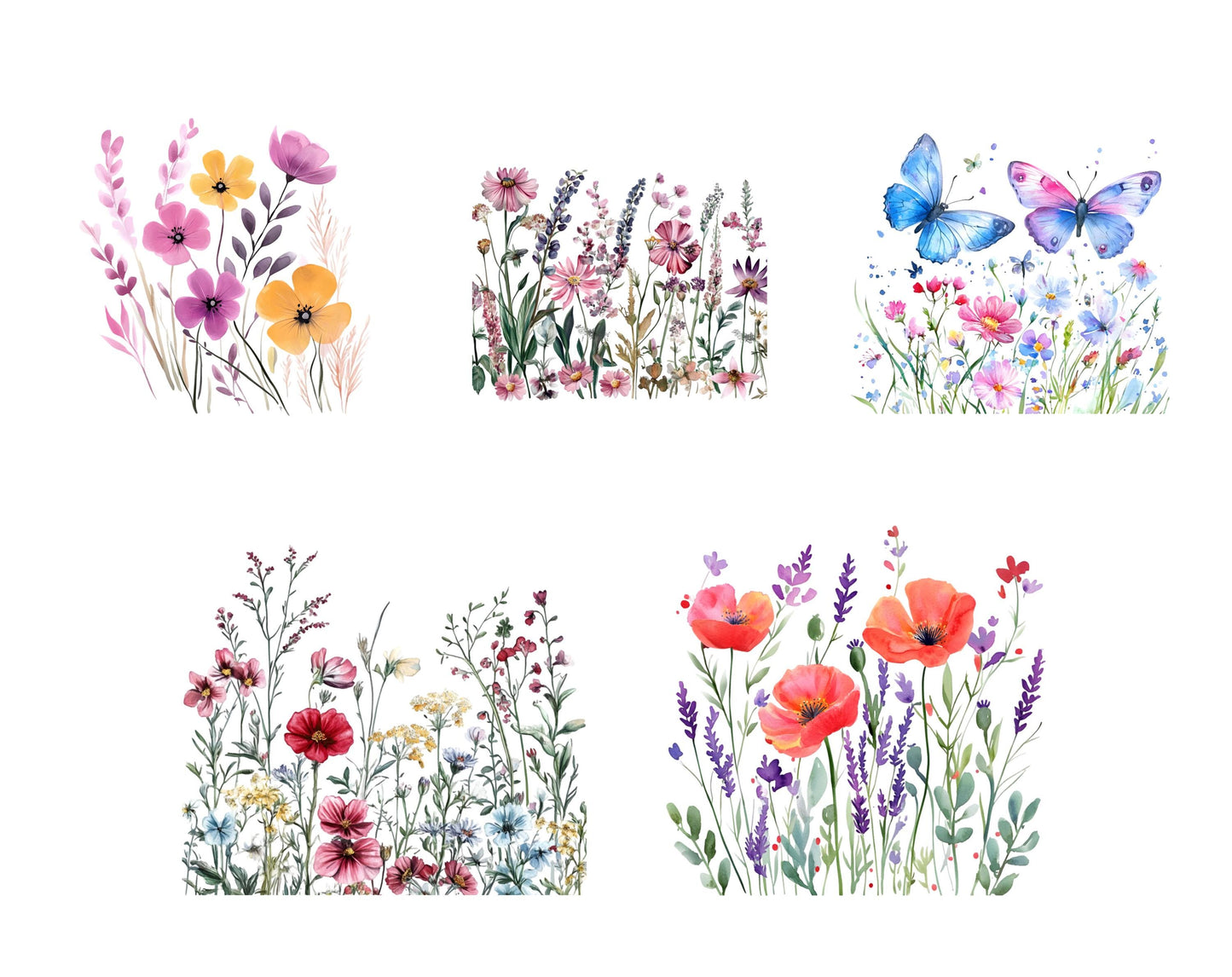 Aquarell-Wildblumen-Clipart-Bundle, Schmetterlingsblumen-PNG (Digitaler Download)