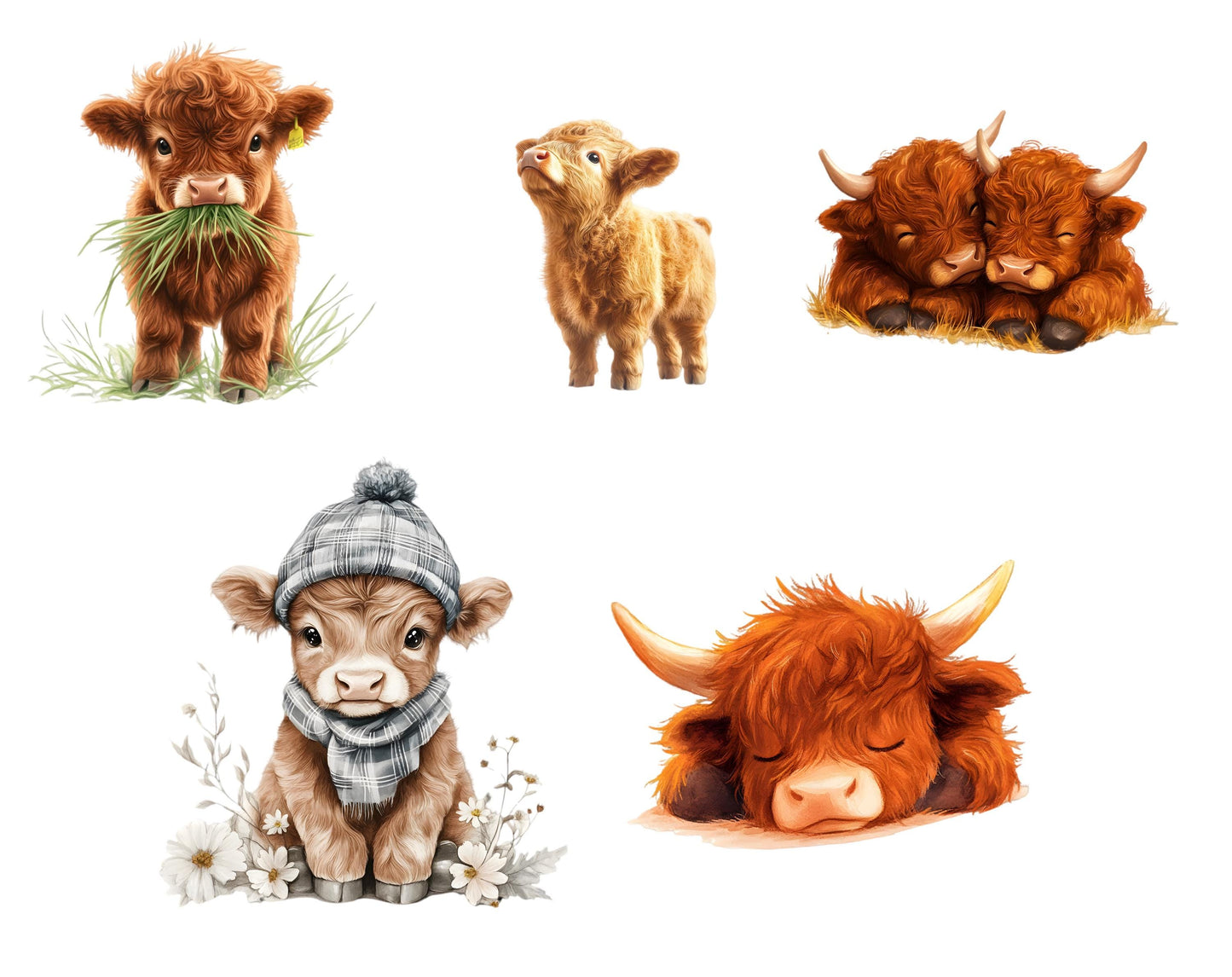 Watercolor Baby Highland Cow Clipart Bundle, Nursery Decor (Digital Download)