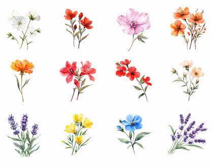 Ensemble d'images clipart de fleurs sauvages à l'aquarelle, PNG floral (téléchargement numérique)