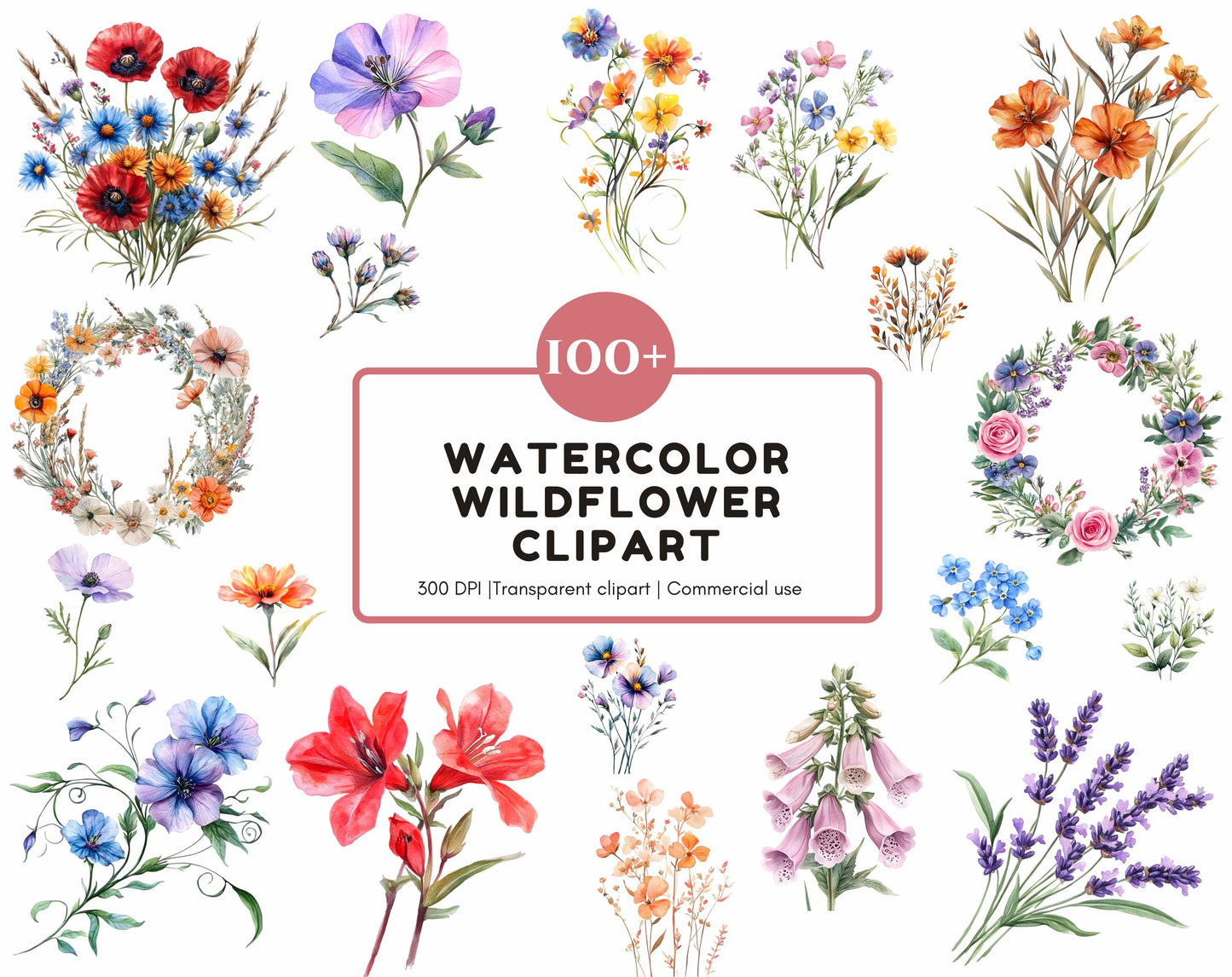 Ensemble d'images clipart de fleurs sauvages à l'aquarelle, PNG floral (téléchargement numérique)