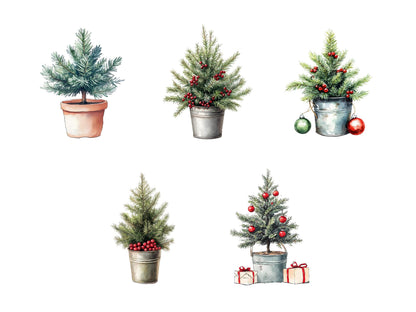 Potted Christmas Tree Clipart png Bundle, Watercolor Christmas Tree Clipart, Christmas Tree Clipart, Christmas png, Tree png