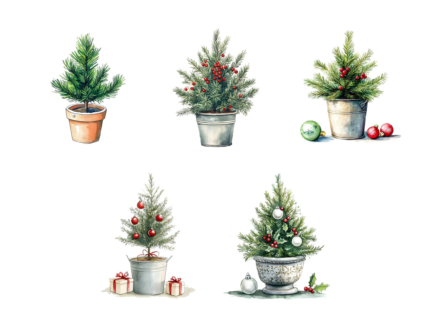 Potted Christmas Tree Clipart png Bundle, Watercolor Christmas Tree Clipart, Christmas Tree Clipart, Christmas png, Tree png