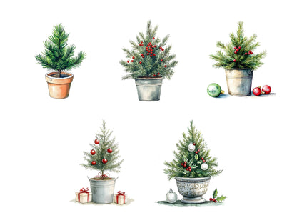 Potted Christmas Tree Clipart png Bundle, Watercolor Christmas Tree Clipart, Christmas Tree Clipart, Christmas png, Tree png