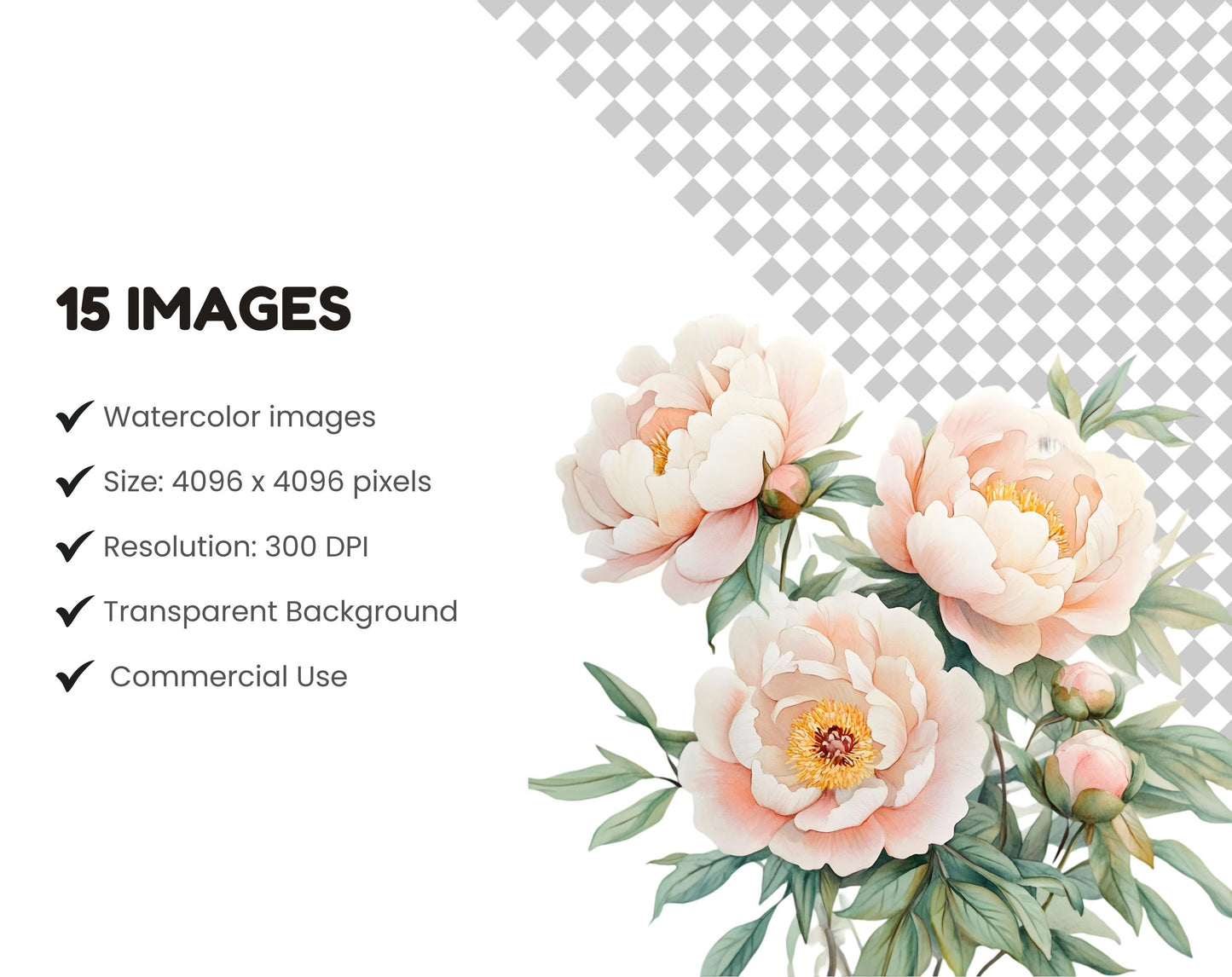 Watercolor Blush Peony Clipart Bundle, Floral PNG (Digital Download)