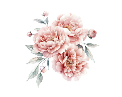 Watercolor Blush Peony Clipart Bundle, Floral PNG (Digital Download)