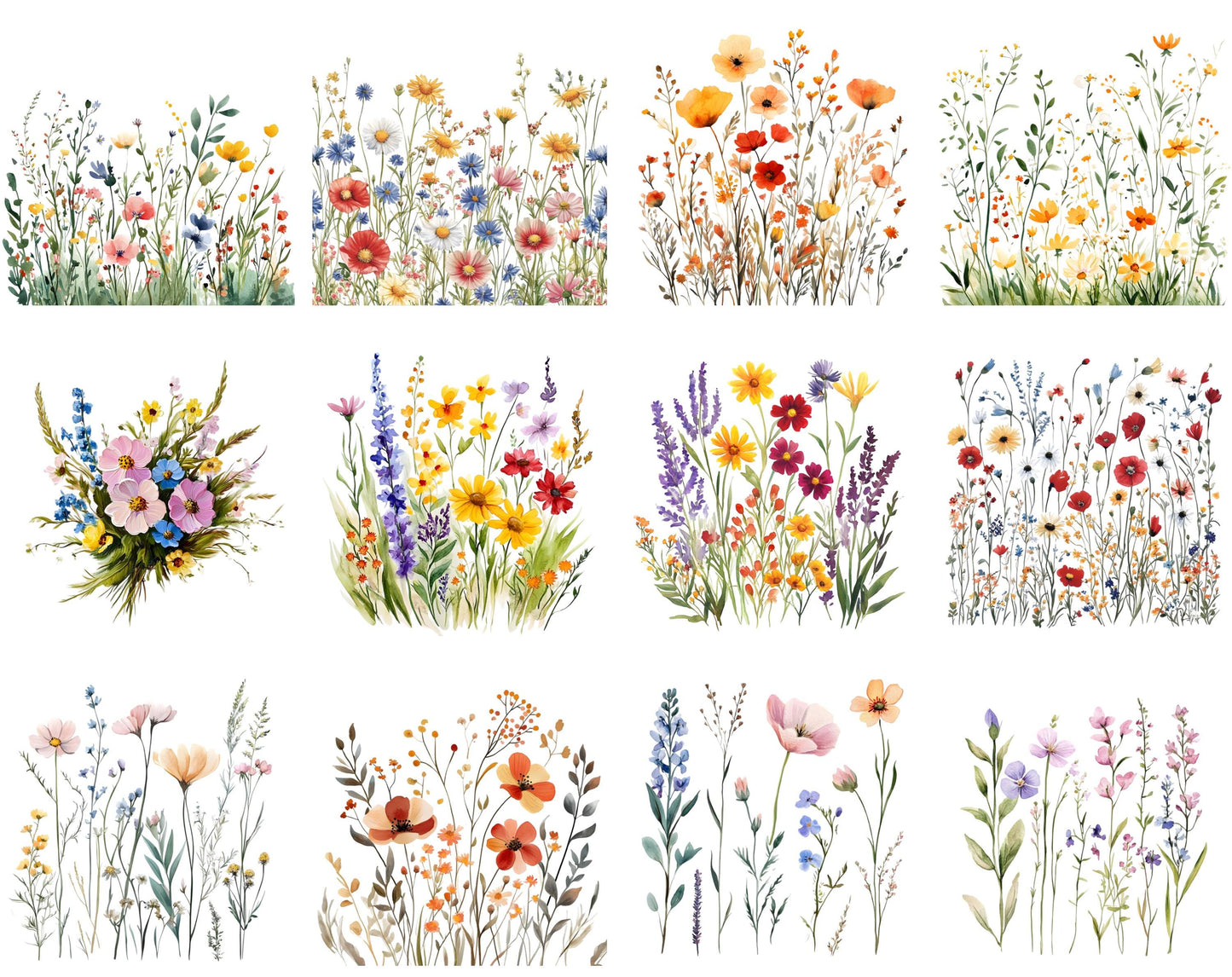 Watercolor Wildflower Clipart Set, Floral Elements (Digital Download)
