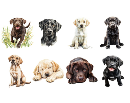 Watercolor Labrador Clipart png Bundle, 50 Labrador Clipart, Dog Clipart, Pet Clipart, Labrador Retriever Clipart, Dog png, Lab Clipart