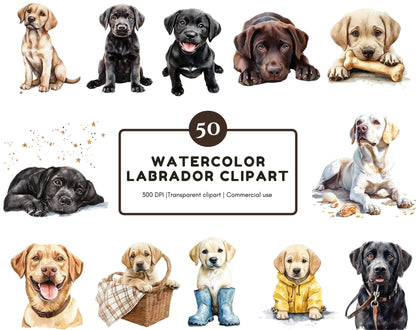Watercolor Labrador Clipart png Bundle, 50 Labrador Clipart, Dog Clipart, Pet Clipart, Labrador Retriever Clipart, Dog png, Lab Clipart