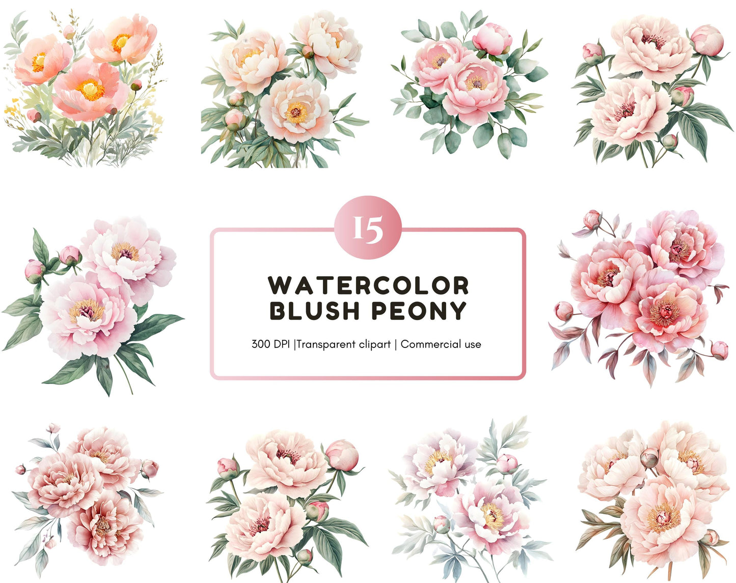 Watercolor Blush Peony Clipart Bundle, Floral PNG (Digital Download)