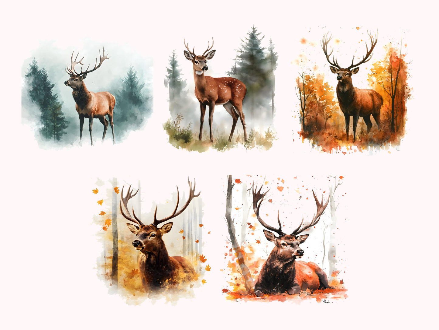 Rothirsch-Clipart-Set, Rothirsch-Clipart-Bundle (PNG), Rothirsch-Aquarell-Clipart, Schilfhirsch-Wald-Clipart, Sofort-Download